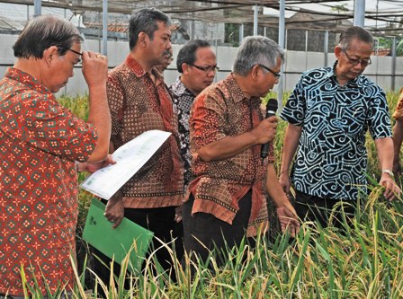 Kementan Libatkan Swasta melalui PISAgro Tingkatkan Ketahanan Pangan